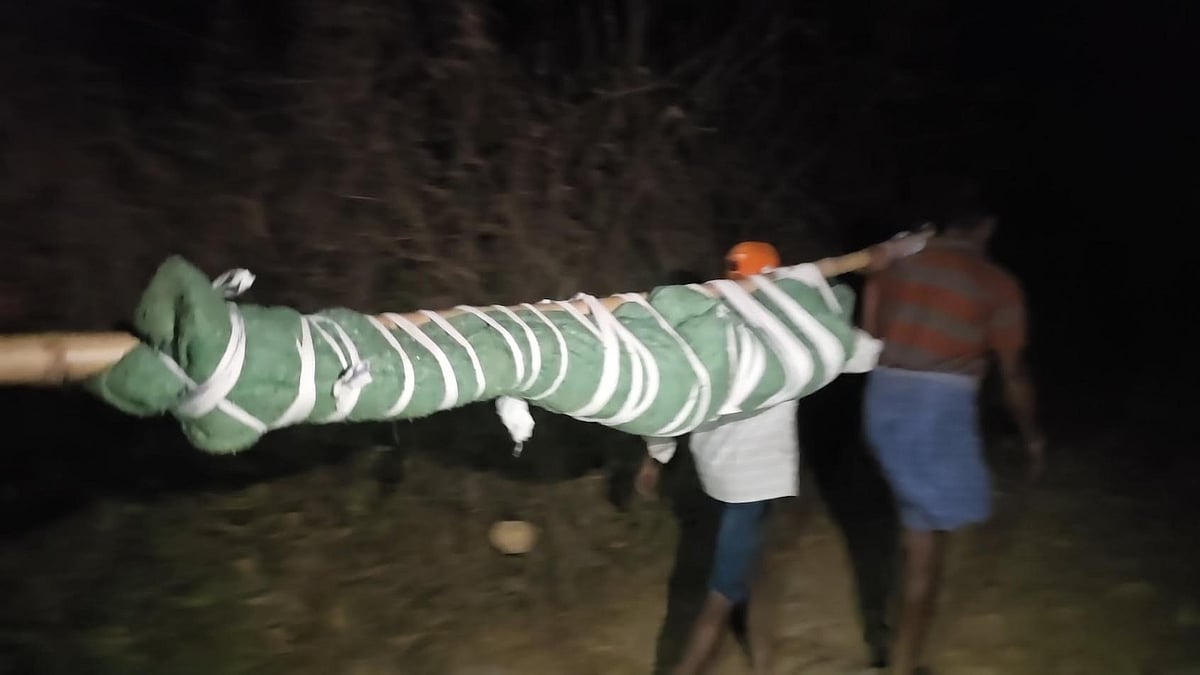 திருப்பத்தூரில் டோலி கட்டி தூக்கிச்செல்லப்பட்ட நபர் உயிரிழப்பு  /villagers carried sick man in Tirupathur 