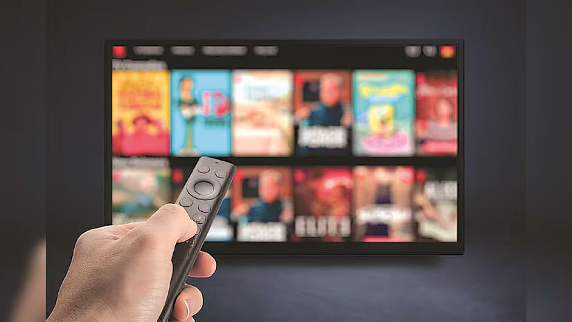 சின்னத்திரை தணிக்கை வாரியத்தை உருவாக்க பொதுநல வழக்கு /case seeking setting up of small screen censor board to regulate tv serials and ads