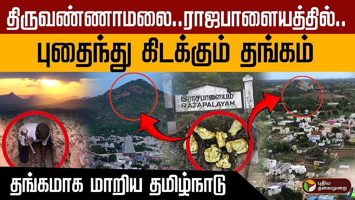 திருவண்ணாமலை ராஜபாளையத்தில் தங்கம் இருப்பதாக தகவல் / Tiruvannamalai Rajapalayam is reported to have gold