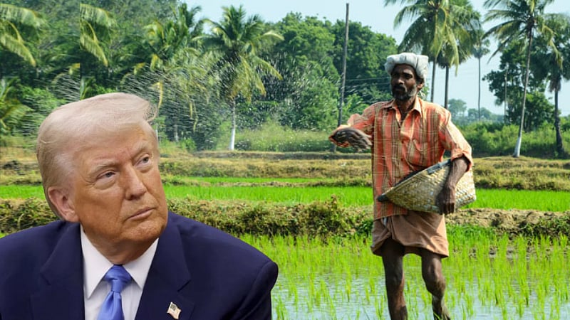 இந்திய சந்தையைக் குறிவைக்கும் அமெரிக்கா /US targets Indian agri market