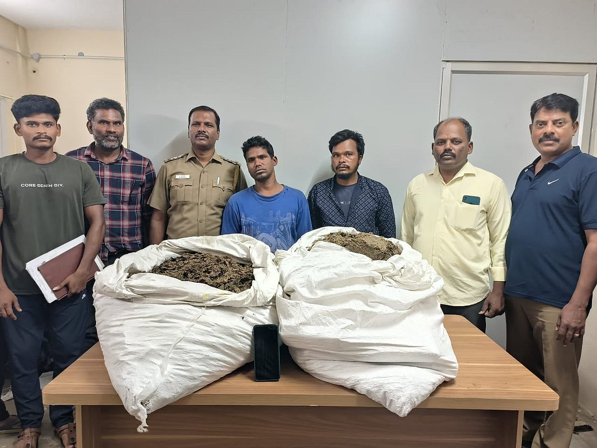 சென்னை | 110 கிலோ கஞ்சா பறிமுதல் - இருவர் கைது 