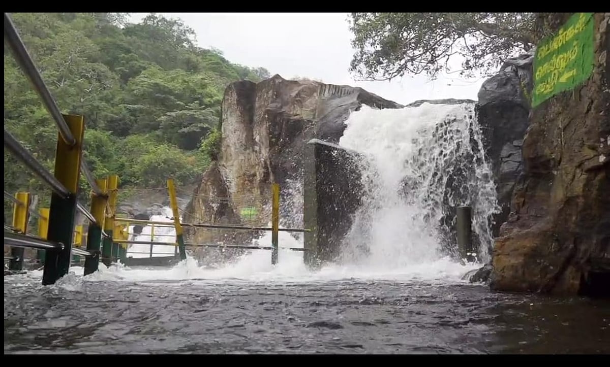 நெல்லை | ஆர்ப்பரித்துக் கொட்டும் மணிமுத்தாறு அருவி - குளிக்கத் தடை
