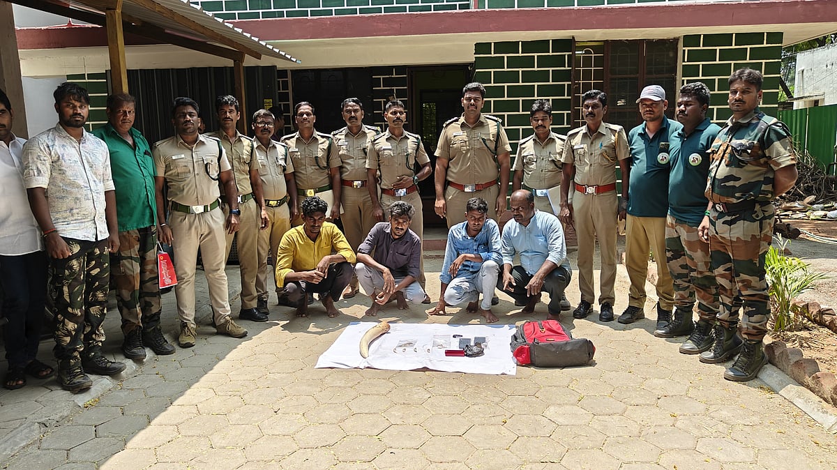 கோவை | யானை தந்தம் கடத்தியதாக நான்கு பேர் கைது