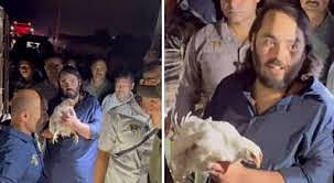 250 இறைச்சிக் கோழிகளை பணம் கொடுத்து விடுவிக்க சொன்ன ஆனந்த் அம்பானி! #VIDEO