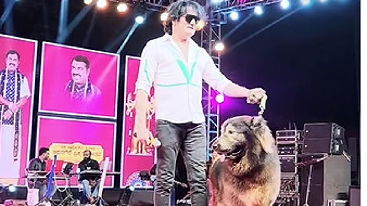 பெங்களூரு | ரூ.50 கோடிக்கு நாய் வாங்கிய தொழிலதிபர்.. களத்தில் குதித்த அமலாக்கத்துறை!