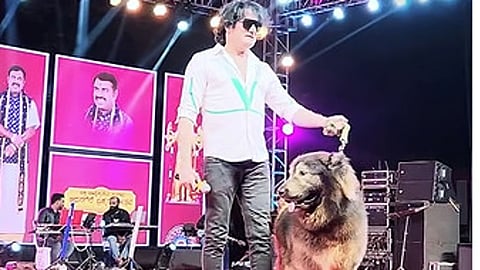 enforcement directorate goes enquiry bengaluru man claims he bought rs 50 crore wolf dog
