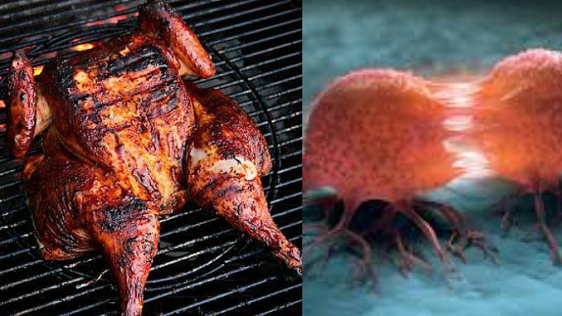 food colors lead to cancer / ஆபத்தான நிறமிகளால் புற்றுநோய் பாதிப்பு?