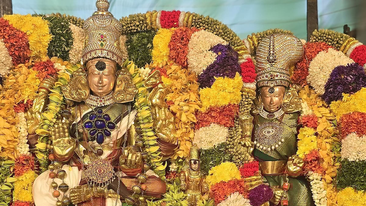 மதுரை| காமதேனு வாகனத்தில் மாசி வீதிகளில் உலா வந்த மீனாட்சியம்மன்