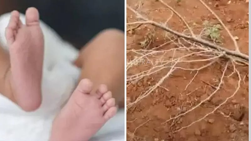 புதுக்கோட்டை| பிறந்த பெண் குழந்தையை புதைக்க முயற்சி.. கல்லூரி மாணவி, காதலனிடம் விசாரணை!