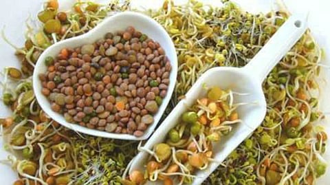 முளைக்கட்டிய பயிர்கள்