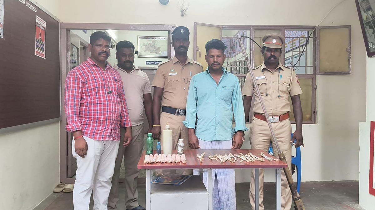 கள்ளக்குறிச்சி | நாட்டுத் துப்பாக்கியை பதுக்கி வைத்திருந்த நபர் கைது