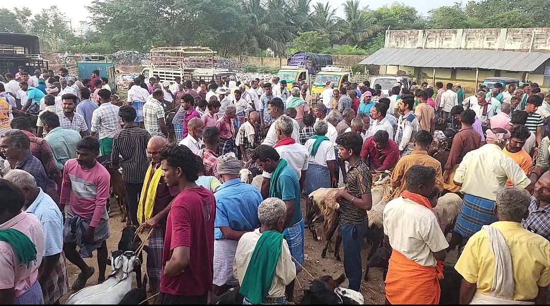 நத்தம் வாரச்சந்தையில் ரூ.5 கோடிக்கு மேல் விற்பனையான ஆடுகள்