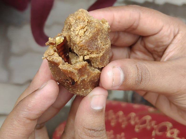 மதுரை | அங்கன்வாடி மையத்தில் வழங்கிய கொழுக்கட்டையில் கரப்பான் பூச்சி