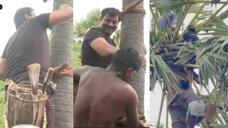 ‘கள் எங்கள் உணவு.. கள் எங்கள் உரிமை’ பனை மரமேறி கள் இறக்கும் போராட்டத்தில் சீமான்