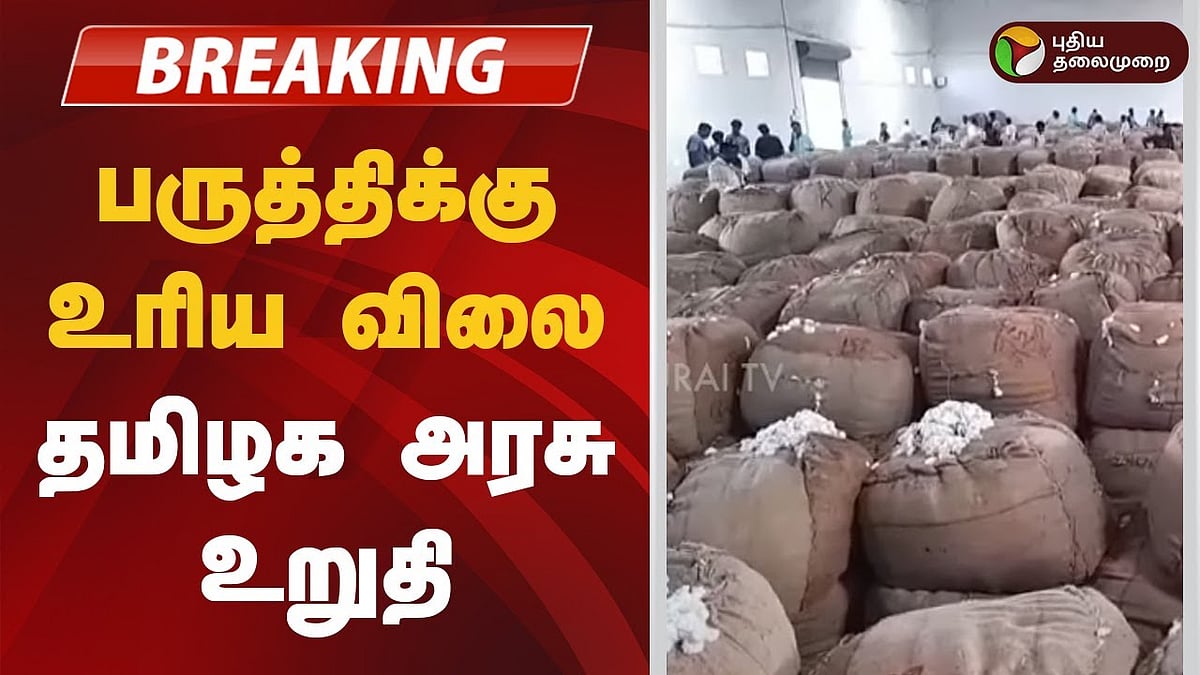 பருத்திக்கு உரிய விலை - தமிழக அரசு உறுதி!