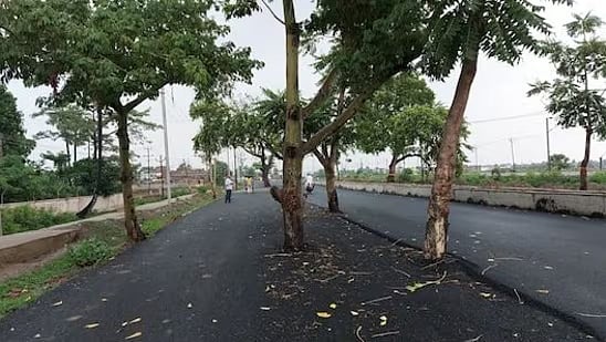 100 கோடி செலவில் சாலை.. ஆனா, மரங்களை மட்டும்  வெட்டமுடியாது! என்ன கொடுமை சார் இது? 