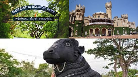 bangalore