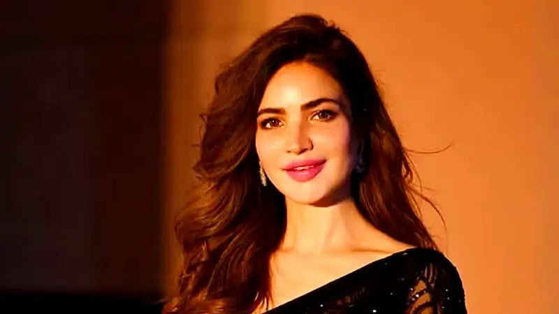 அழுகிய நிலையில் சடலமாக கிடந்த பிரபல நடிகை... யார் இந்த ஹுமைரா அஸ்கர் ? நடந்தது என்ன?