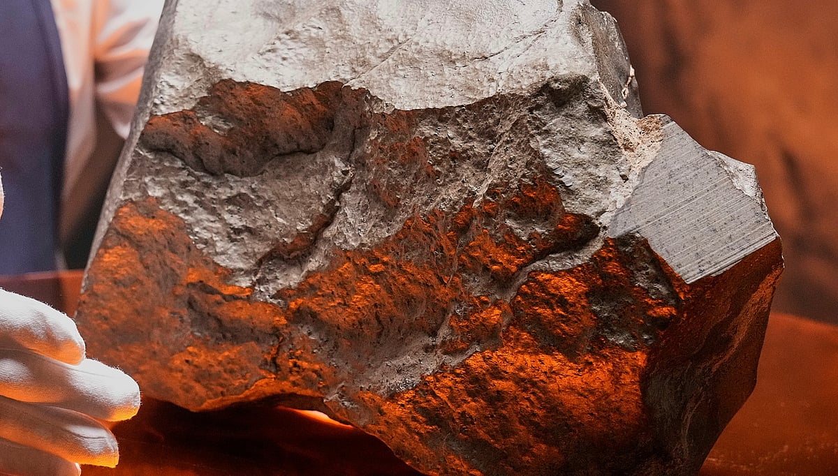 செவ்வாய் கோளில் இருந்து விழுந்த விண்கல்... பல கோடி ஏலத்தில் விற்பனை!