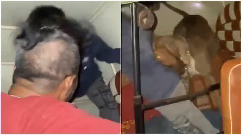 ஆட்டோவில் நாயை விட்ட கடிக்க விட்ட நபர்; சில மணி நேரத்திலேயே விடுவிப்பு! சிறுவன் சொன்னது என்ன?