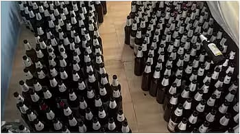 தாய்லாந்து|மனைவியை பிரிந்த சோகம்....ஒரு மாதம் பீர் மட்டுமே உணவு; இறுதியில் என்ன நடந்தது? 