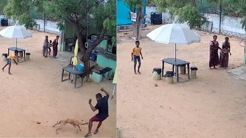 மதுரை | கண்மூடித்தனமாக சிறுவனை விரட்டி விரட்டி கடித்த நாய்.. காப்பற்ற வந்த தந்தைக்கும் கடி! | CCTV