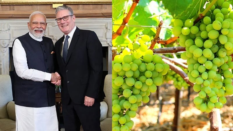 திராட்சைகளுக்கான 8% வரி நீக்கம்.. இந்தியா இங்கிலாந்து ஒப்பந்தத்தால் விவசாயிகள் மகிழ்ச்சி