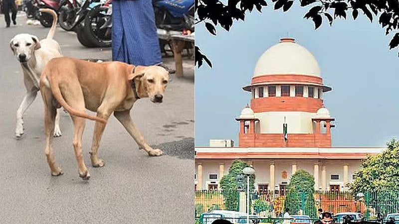 டெல்லி தெருநாய் வழக்கு.. காப்பகங்களில் அடைக்கும் உத்தரவை நிறுத்திவைத்த உச்ச நீதிமன்றம்!