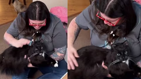 Meghan Riley with preserved black cat 
