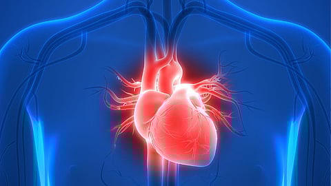 Healthy heart