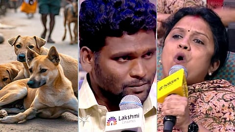 இணையத்தில் வெடித்த தெருநாய் பிரச்னை விவாதம்