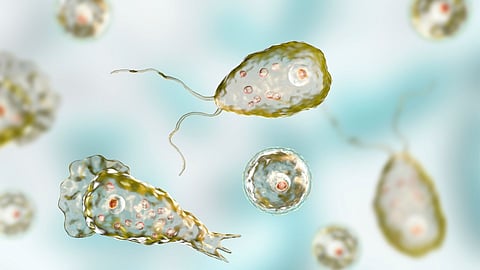 Brain-Eating Amoeba in Kerala