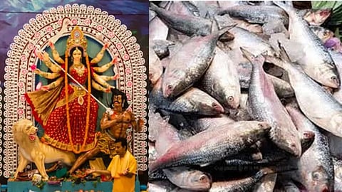 bangladesh sent in hilsa fishes to india for durga puja