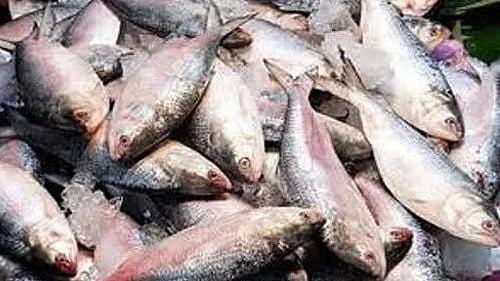 BJP refutes Mamata Banerjees claim that the party will ban meat and fish in West Bengal