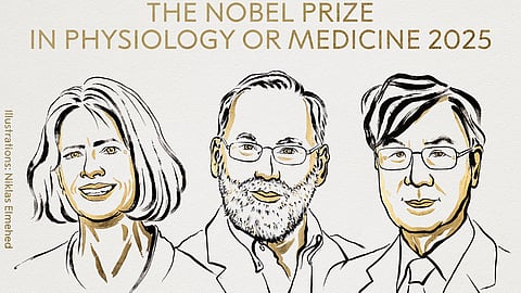 nobel prize in medicine 2025