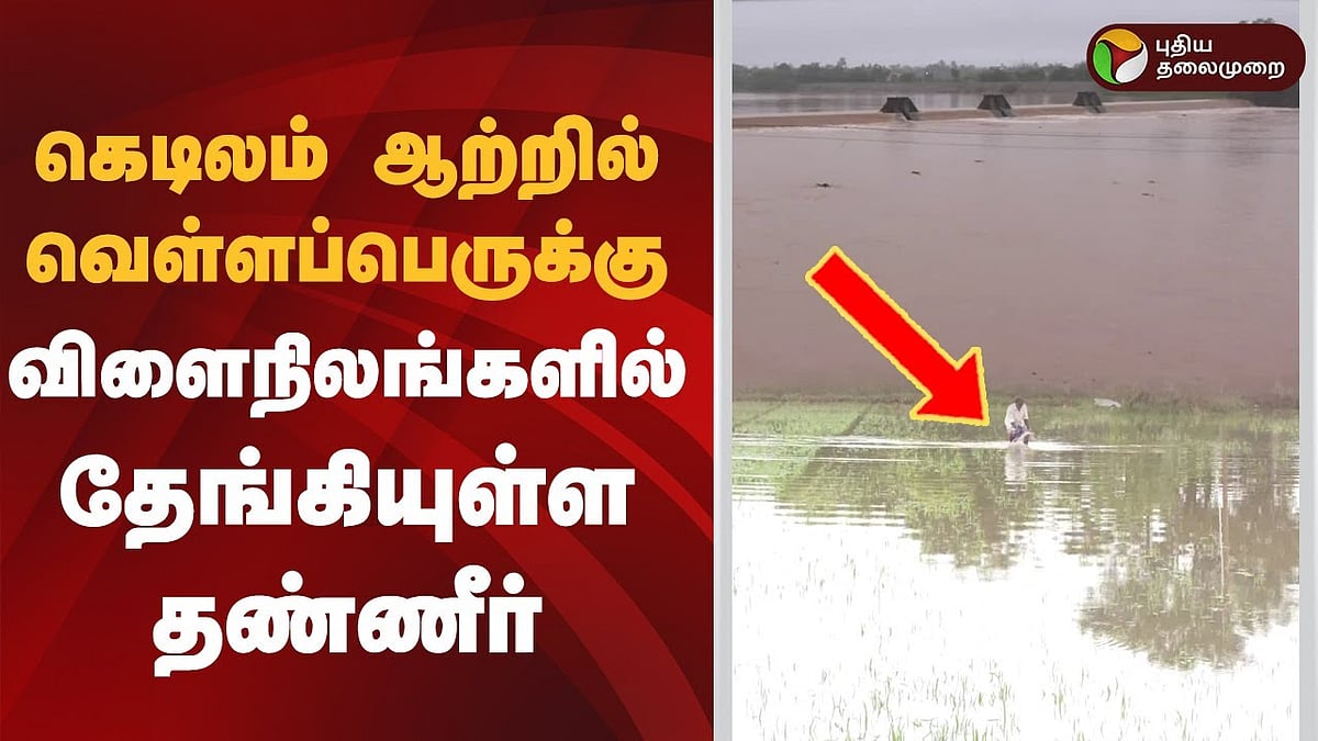 கெடிலம் ஆற்றில் வெள்ளப்பெருக்கு - விளைநிலங்களில் தேங்கியுள்ள தண்ணீர்!