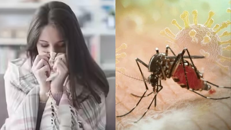 சென்னையில் அதிகரித்து வரும் டெங்கு... மாநகராட்சி நிர்வாகம் சொல்வது என்ன..?