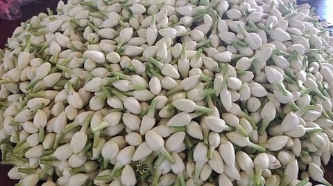 மல்லிகை