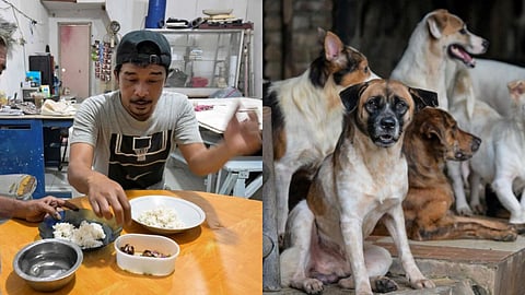 Dog meat ban in Jakarta