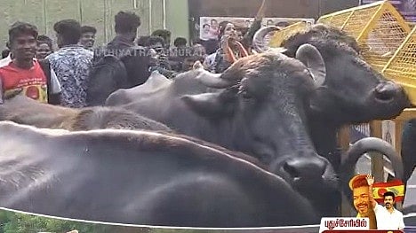 தவெக கூட்டத்தில்..