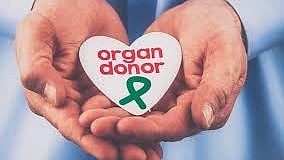 உடல் உறுப்பு தானம்.. ஆண்களை காட்டிலும் பெண்களே அதிகளவு விருப்பம்!