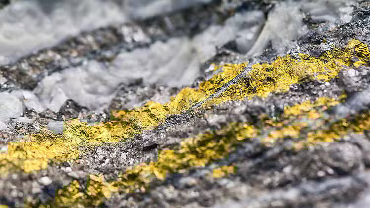 சீனாவுக்கு அடித்த ஜாக்பாட்.. கடலுக்கடியில் மிகப்பெரிய தங்கச் சுரங்கம் கண்டுபிடிப்பு!