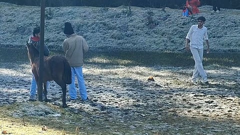 ஊட்டி, நீலகிரி