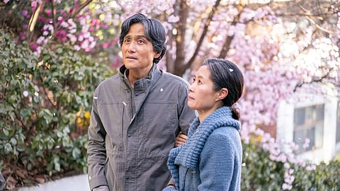 When life gives you Tangerines