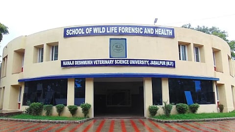 madhya pradesh govts research project on cancer faces allegations of scam charge