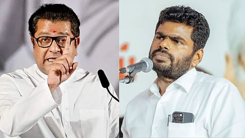  TN BJP Ex chief Annamalai reacts in maharashtra Raj Thackeray 