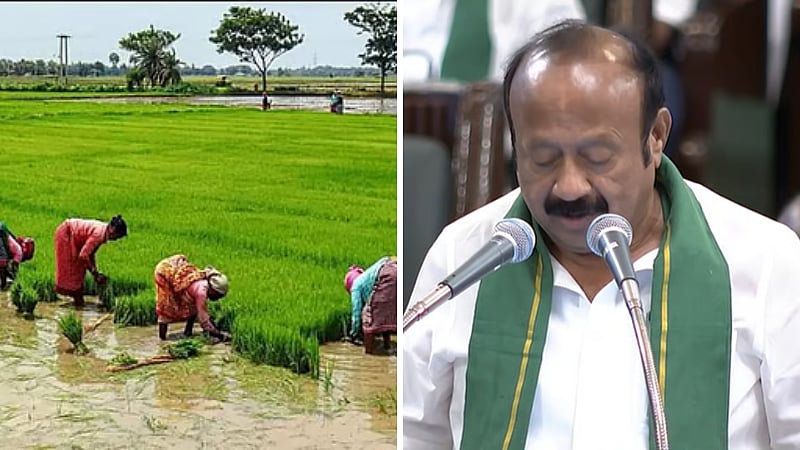 இடைக்கால பட்ஜெட்| வேளாண் துறைக்கு ரூ.47,248 கோடி நிதி ஒதுக்கீடு! முழு விவரம்