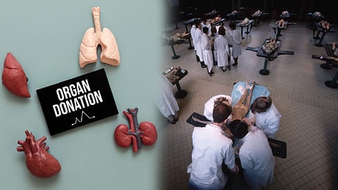 organ donation vs body donation