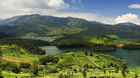 Ooty, Coonoor, Gudalur constituencies Who benefits?