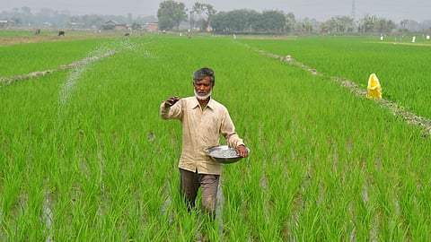 Iran War Threatens Global Food Production